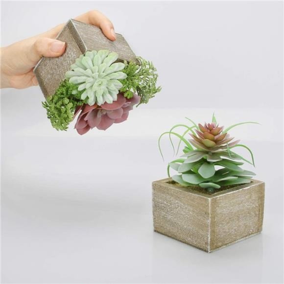 Artificial Succulents Plants, Mini Assorted Green Faux Succulents in Pots, Small - Picture 3 of 6